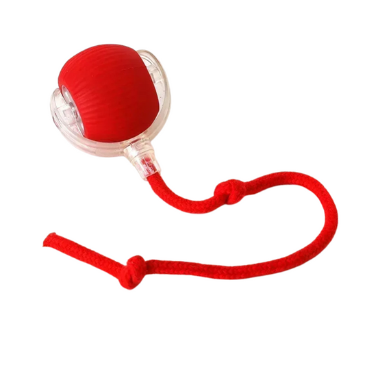 Croq'Balle Mobile