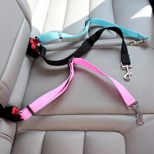 Croq'Ceinture