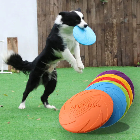 Croq'Frisbee